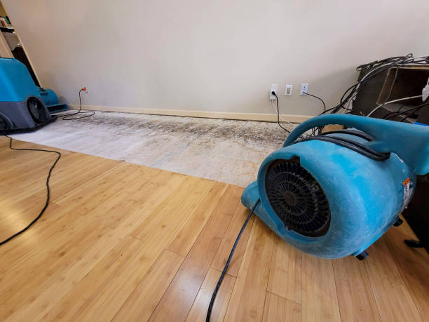 Professional Flood Damage Cleanup technician working in Centralia, IL